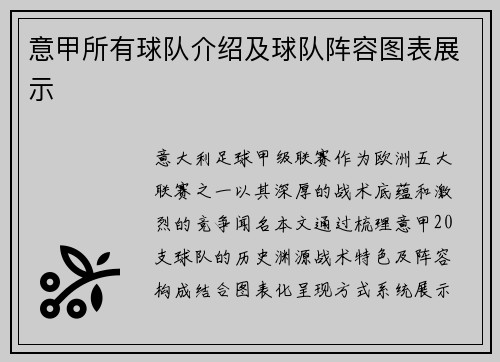 意甲所有球队介绍及球队阵容图表展示